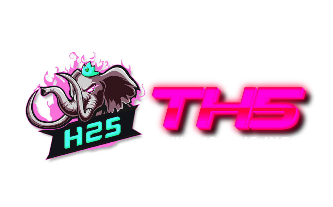 h25th5.info